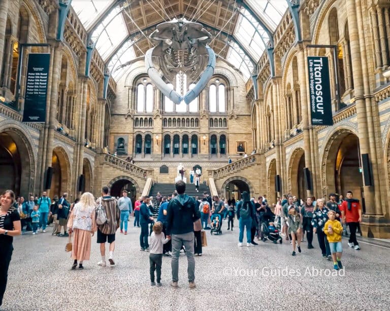 London Museum Guided Tours Natural History Museum